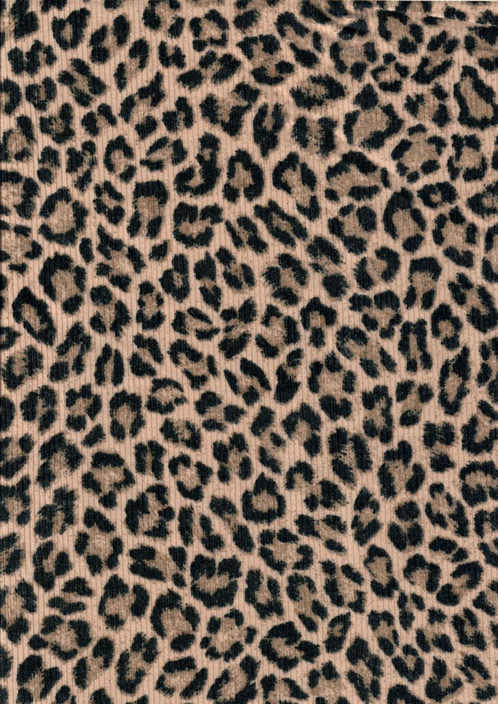 P3031-AN50507 / C1 STONE/BLACK